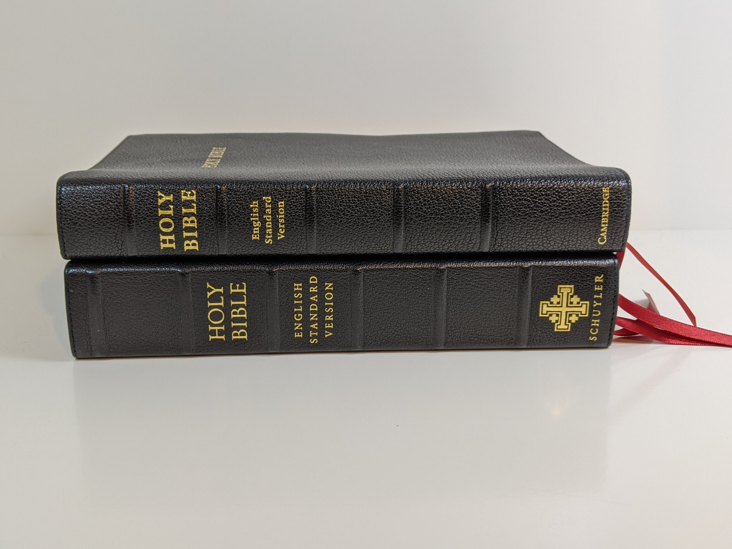  Topaz - top Schuyler ESV Credo Quentel - bottom 