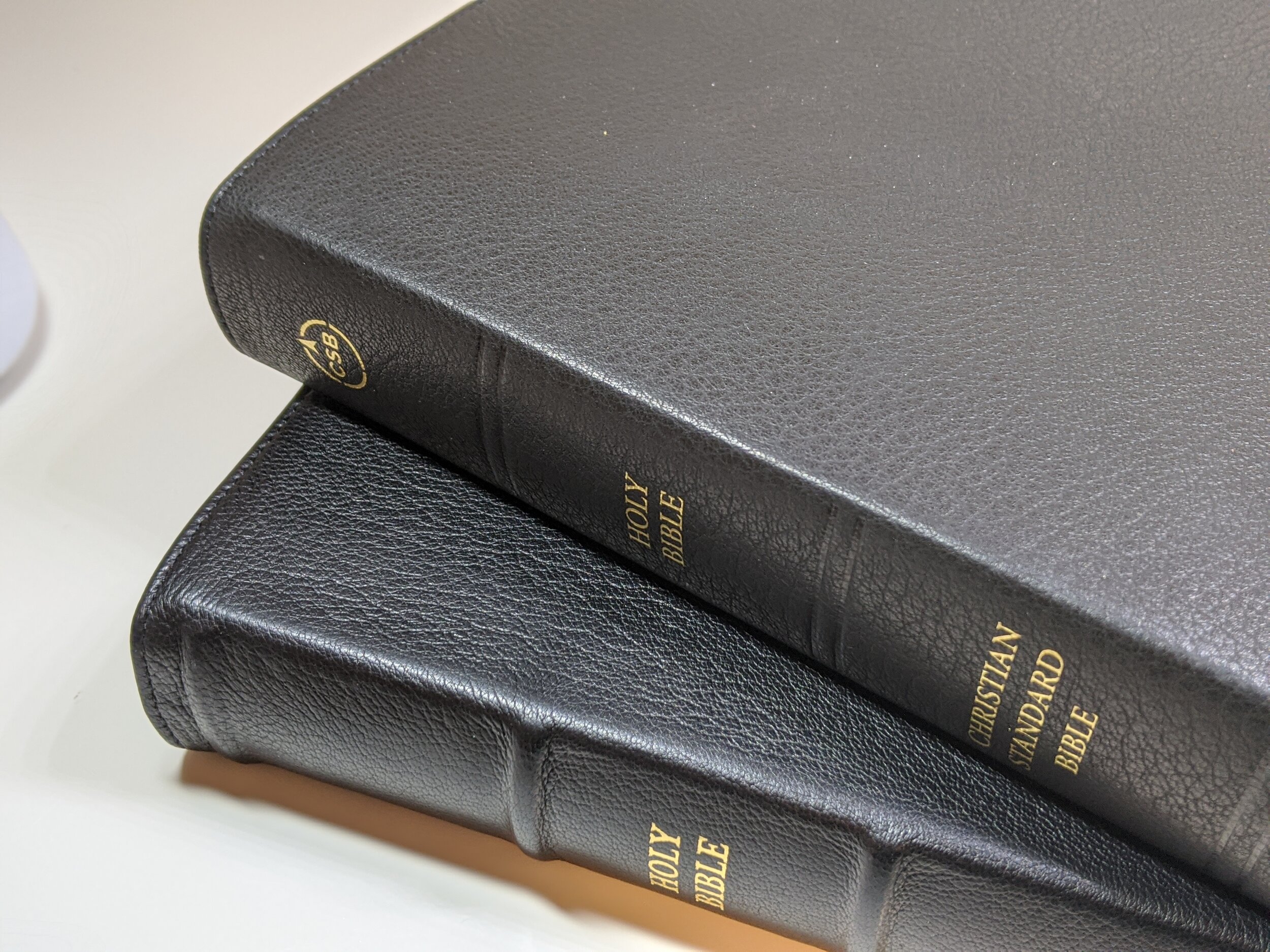  Similar leathers on the CSB and Thomas Nelson Premier NKJV 