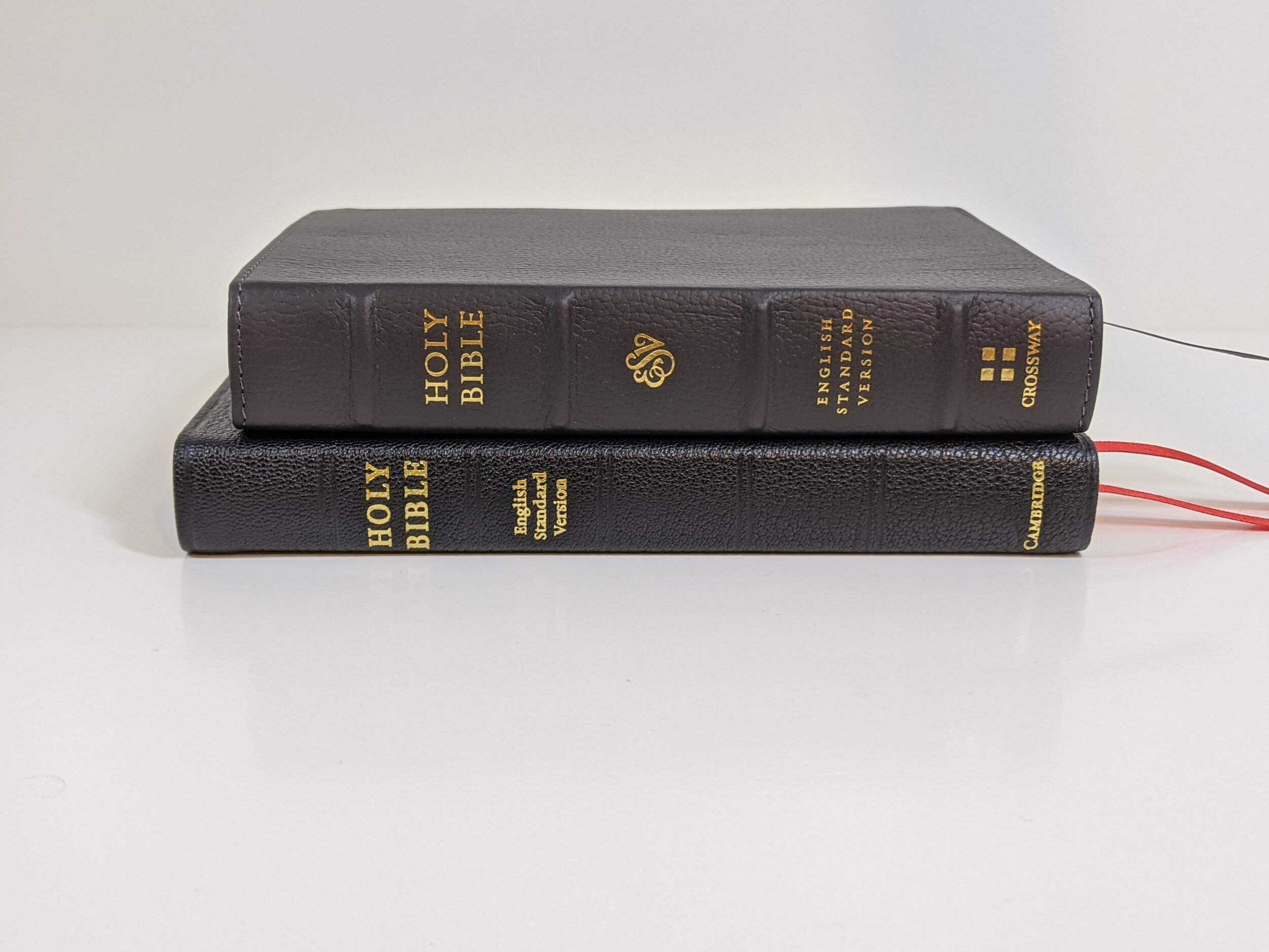  Top - Large Print Compact Bottom - Cambridge Pitt Minion 