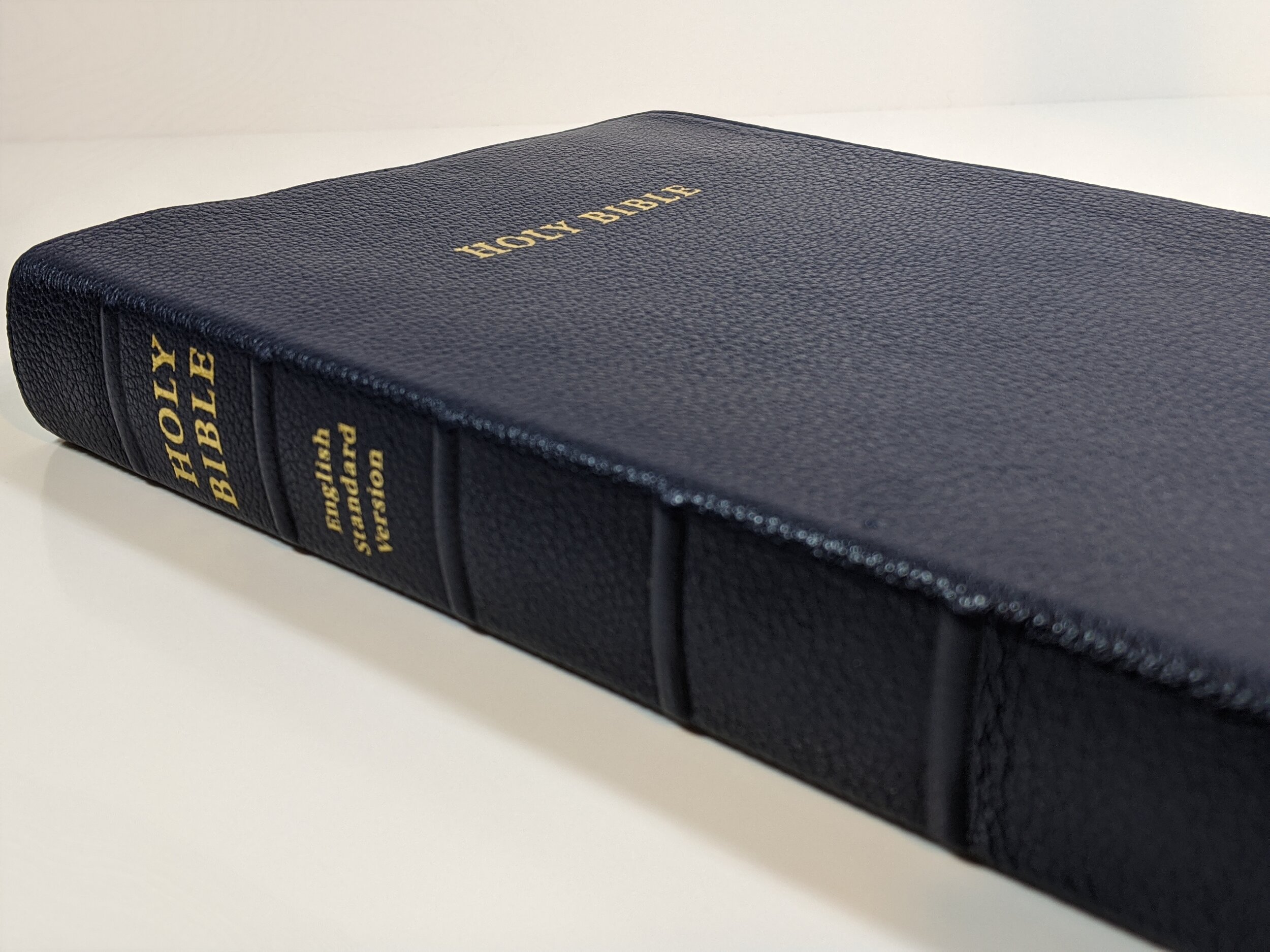 The Cambridge Topaz in Blue Goatskin – Cam Hyde