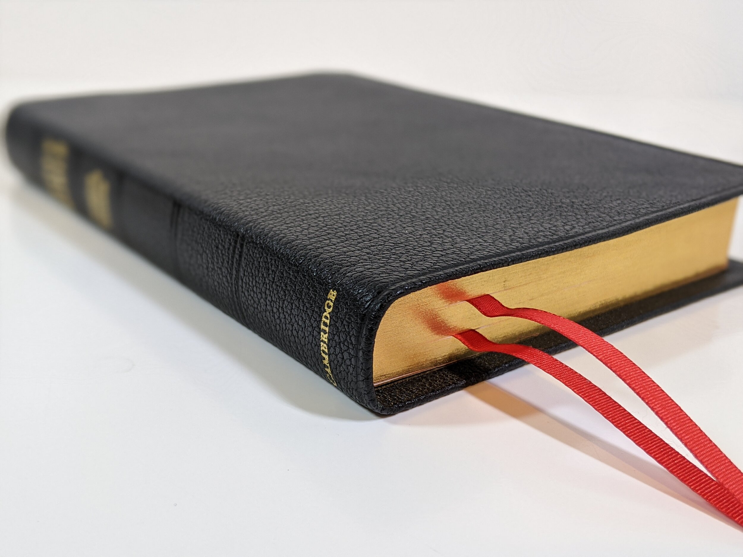 The Cambridge Pitt Minion in Black Goatskin – Cam Hyde